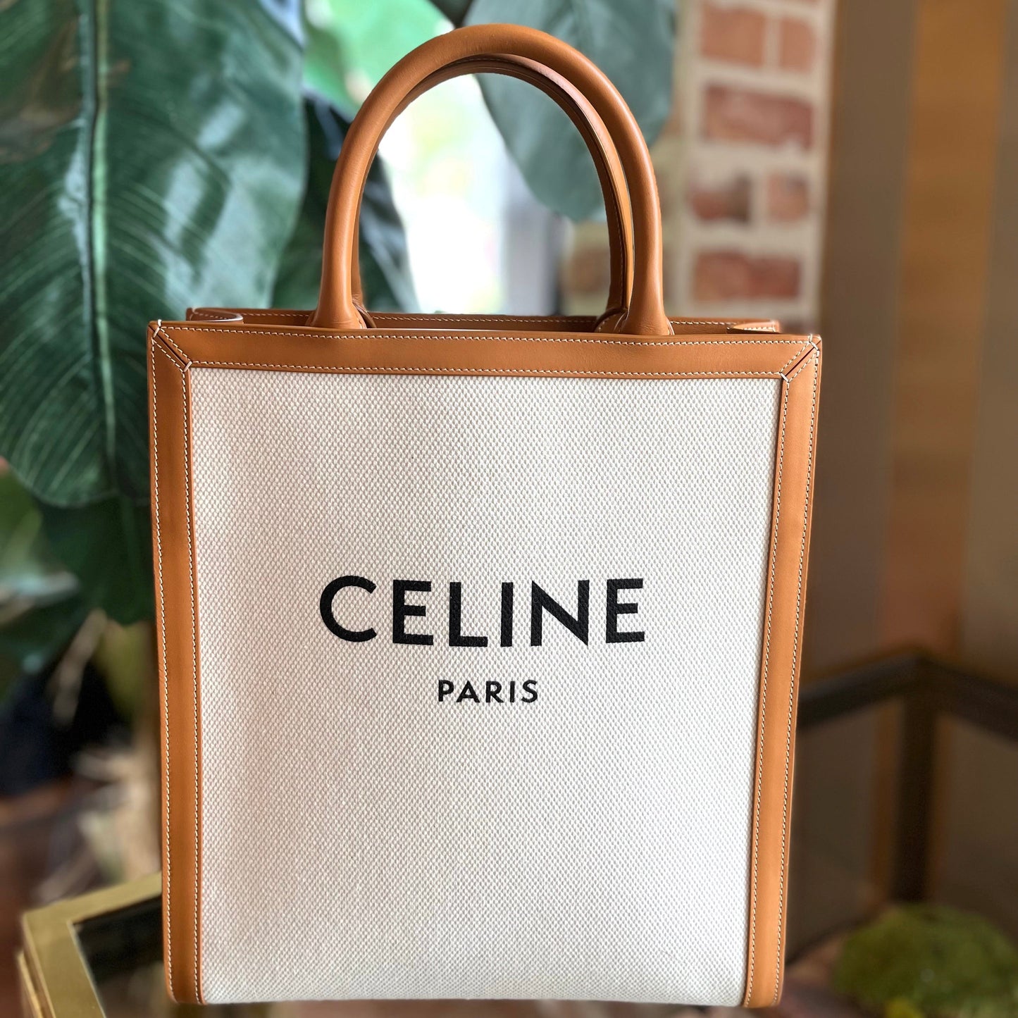 CELINE Canvas Vertical Cabas Tote