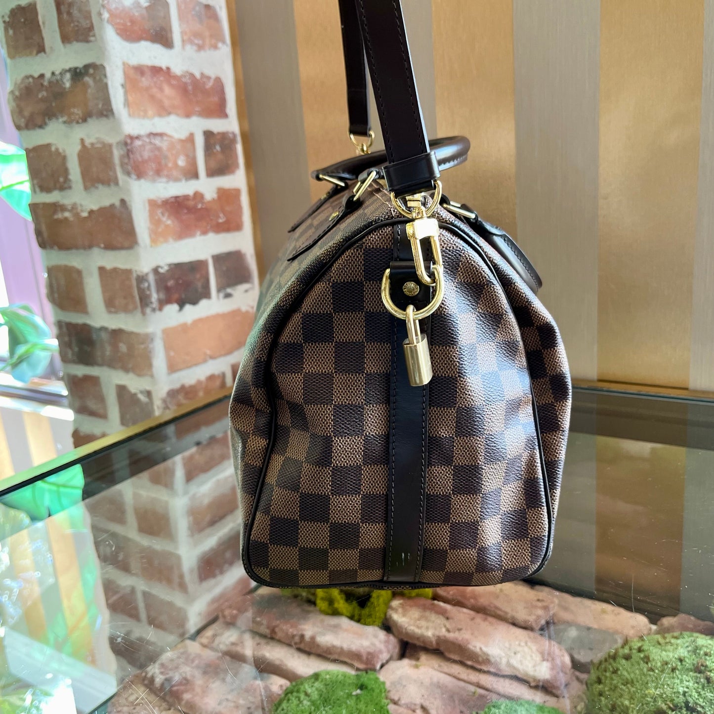 LOUIS VUITTON Speedy 30 Damier Ebene Canvas Satchel Bag