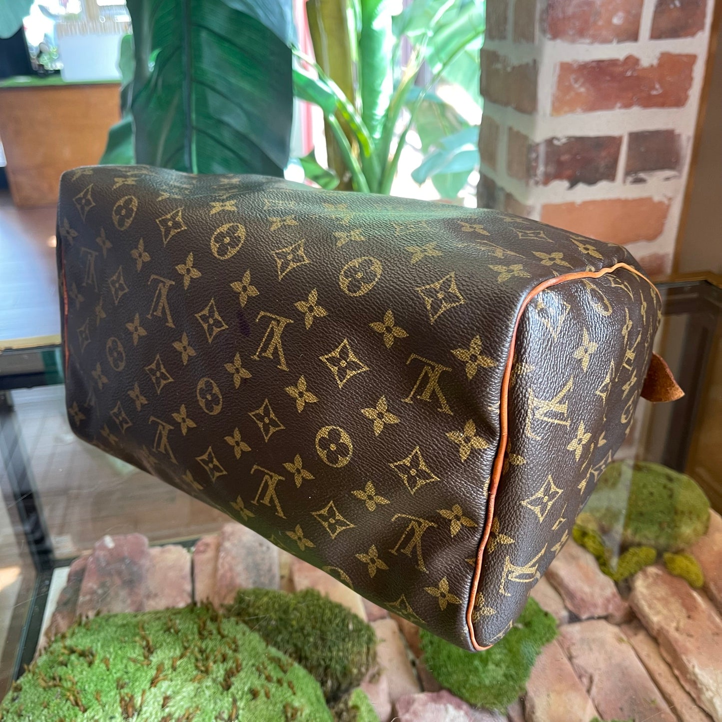 LOUIS VUITTON Monogram Speedy 30