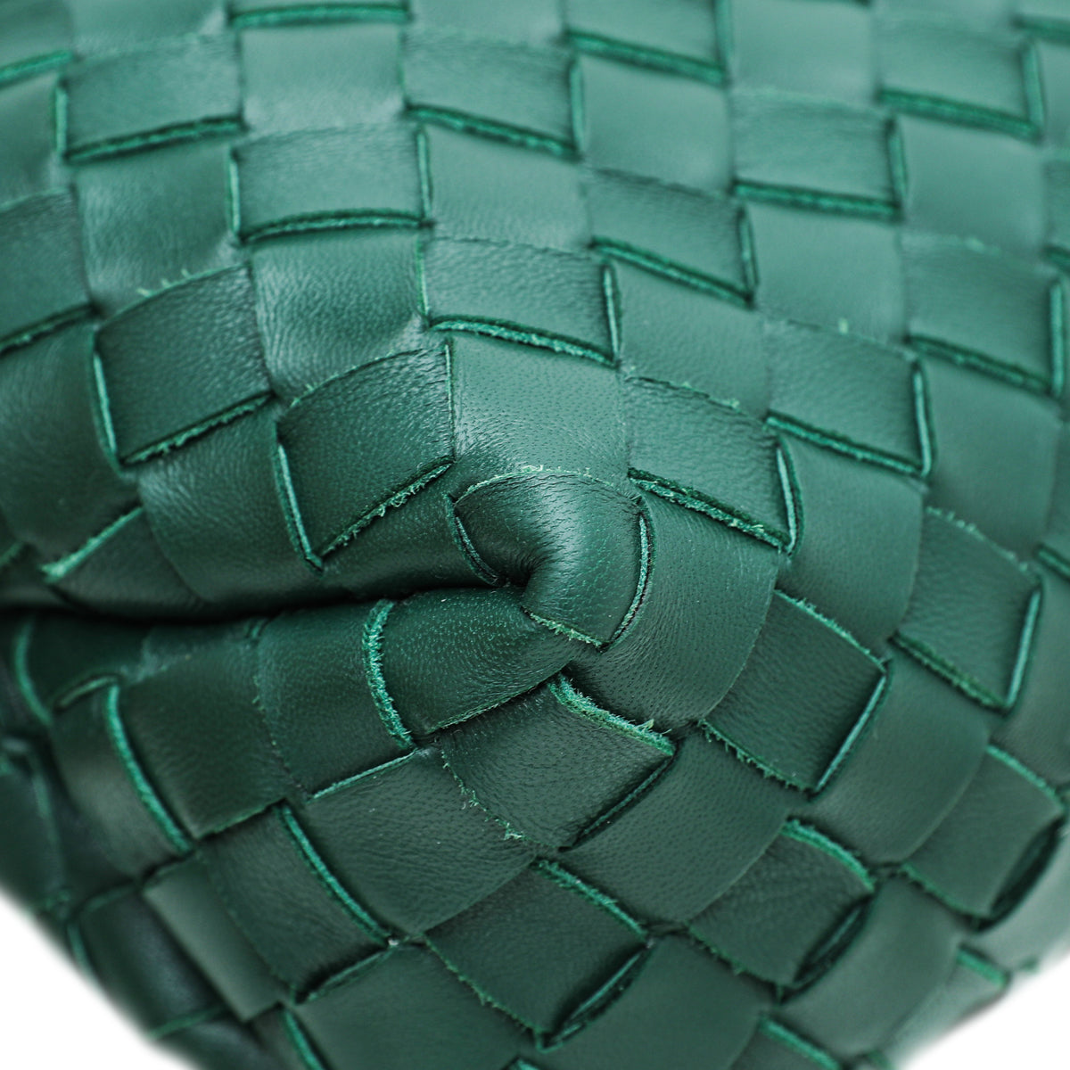 Bottega Veneta Raintree Green Loop Camera Medium Bag