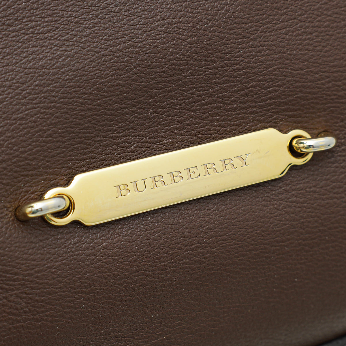 Burberry Brown Salisbury Tote Bag