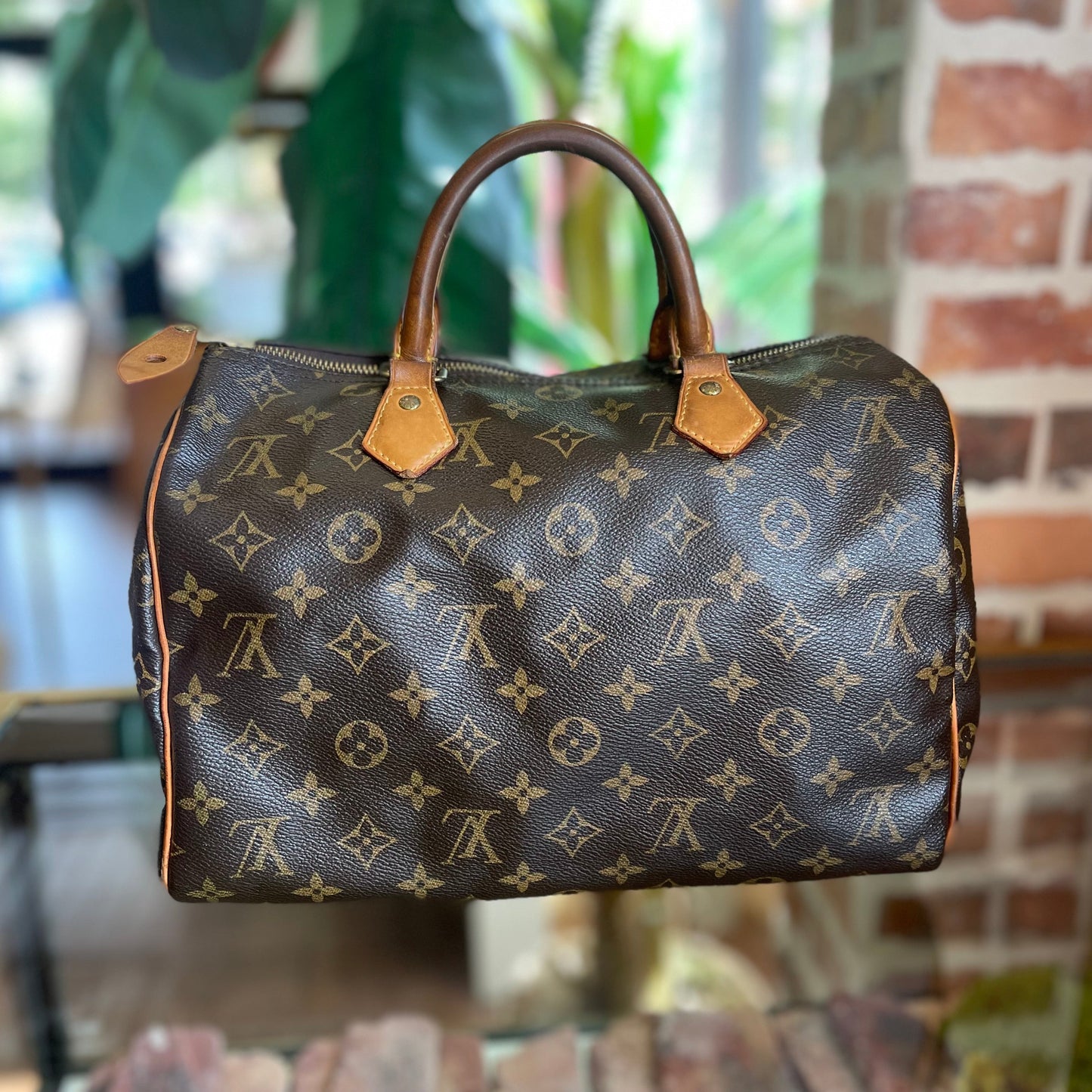 LOUIS VUITTON Monogram Speedy 30