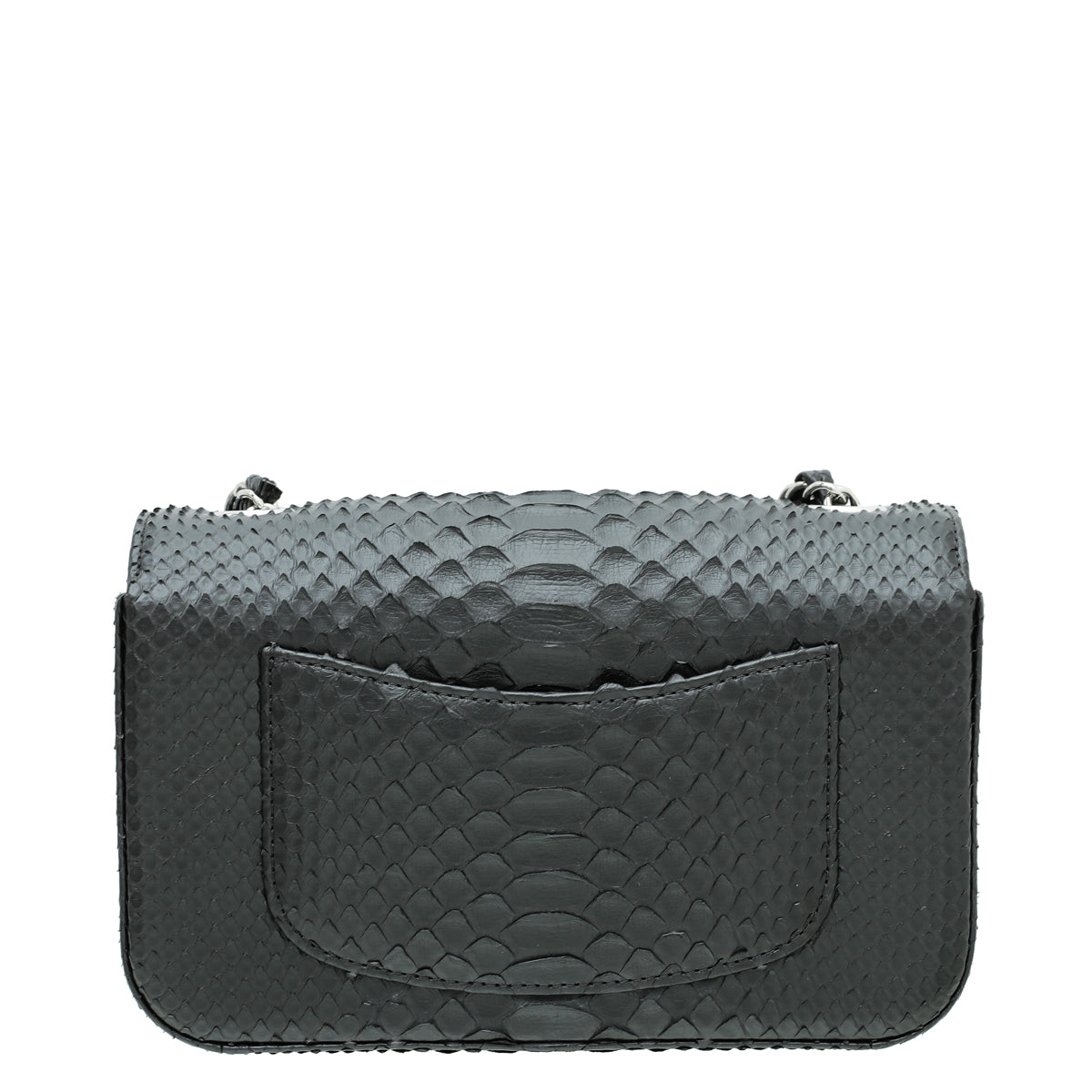 Chanel Black Python CC Rectangular Bag