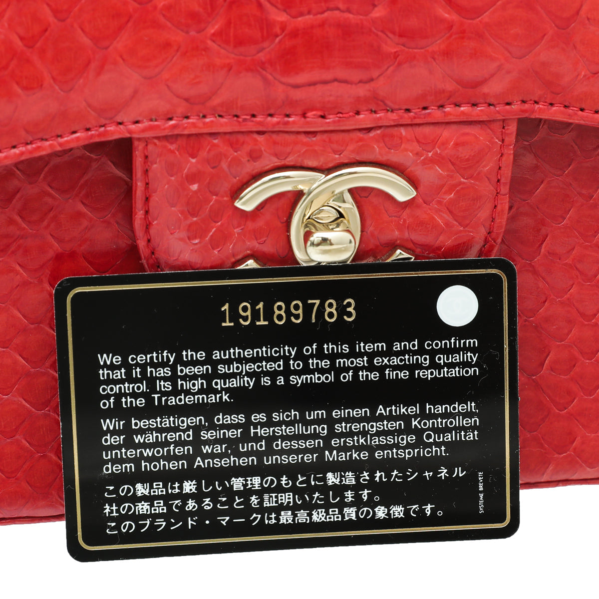 Chanel Red Python Classic Double Flap Jumbo Bag