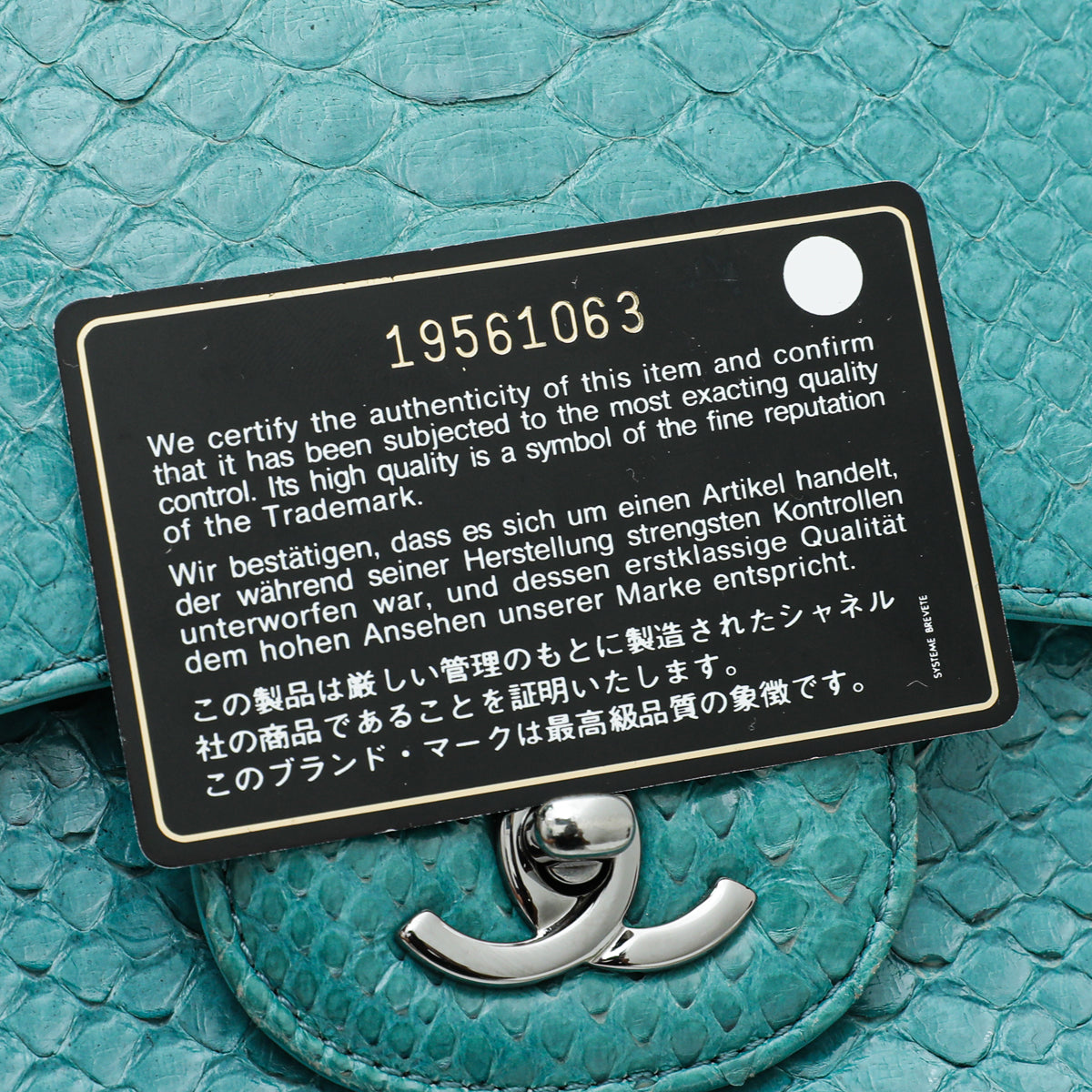 Chanel Turquoise Python Classic Double Flap Jumbo Bag