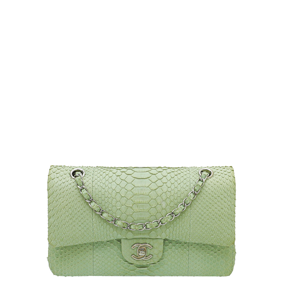 Chanel Light Green Python Classic Double Flap Medium Bag