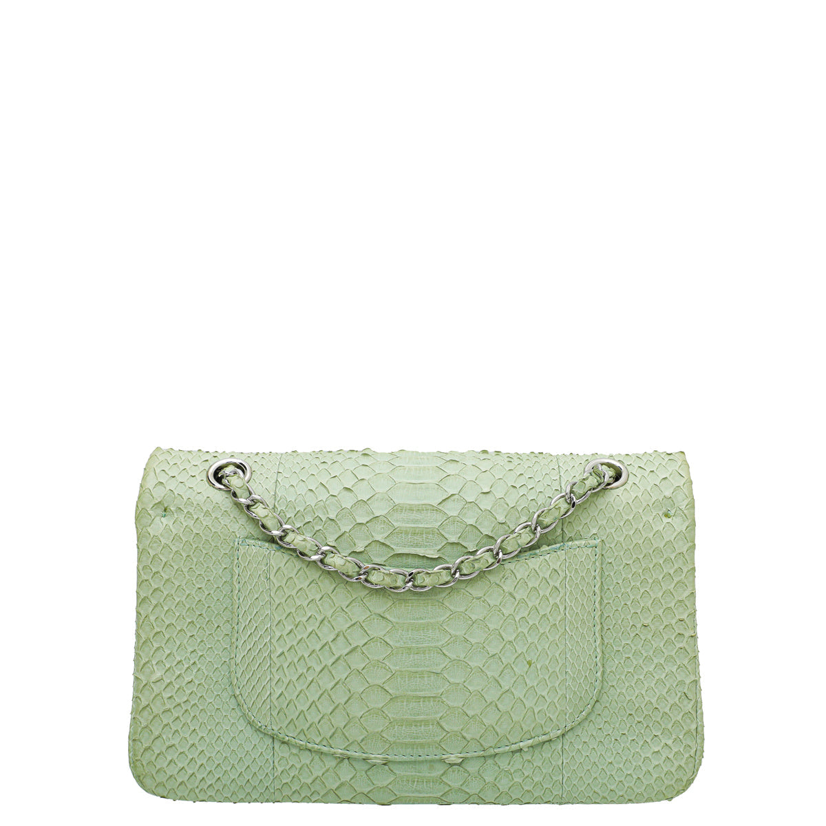 Chanel Light Green Python Classic Double Flap Medium Bag