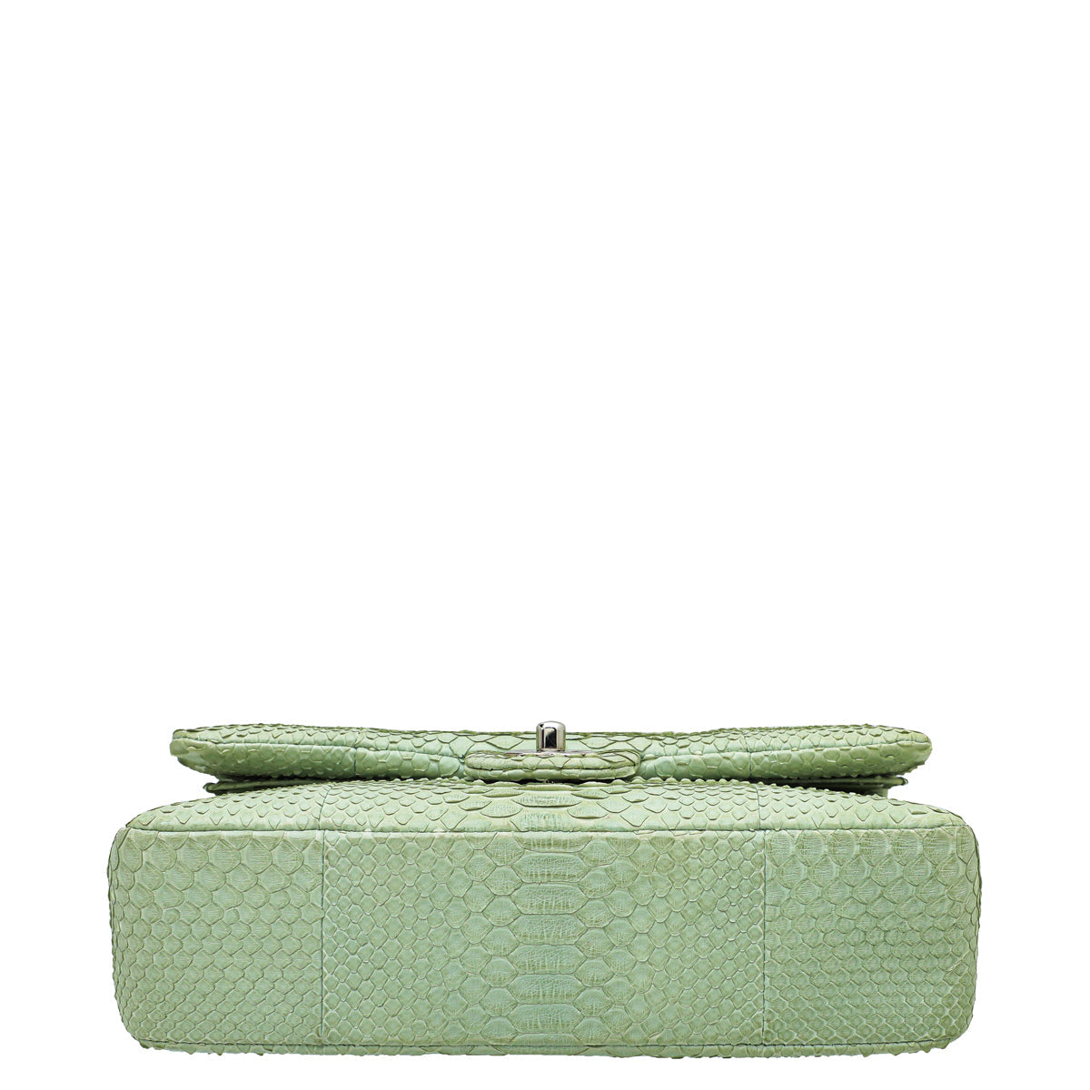 Chanel Light Green Python Classic Double Flap Medium Bag