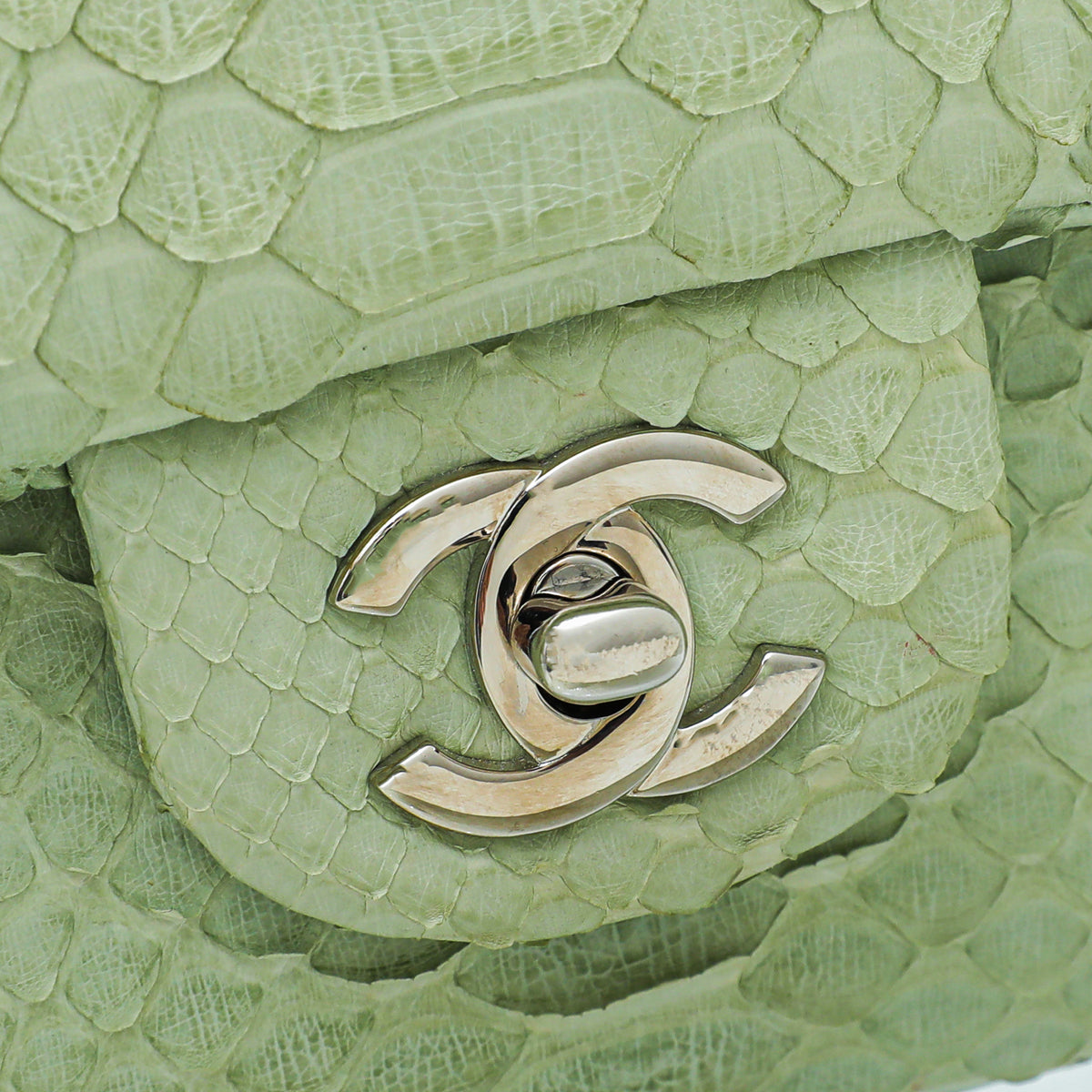 Chanel Light Green Python Classic Double Flap Medium Bag