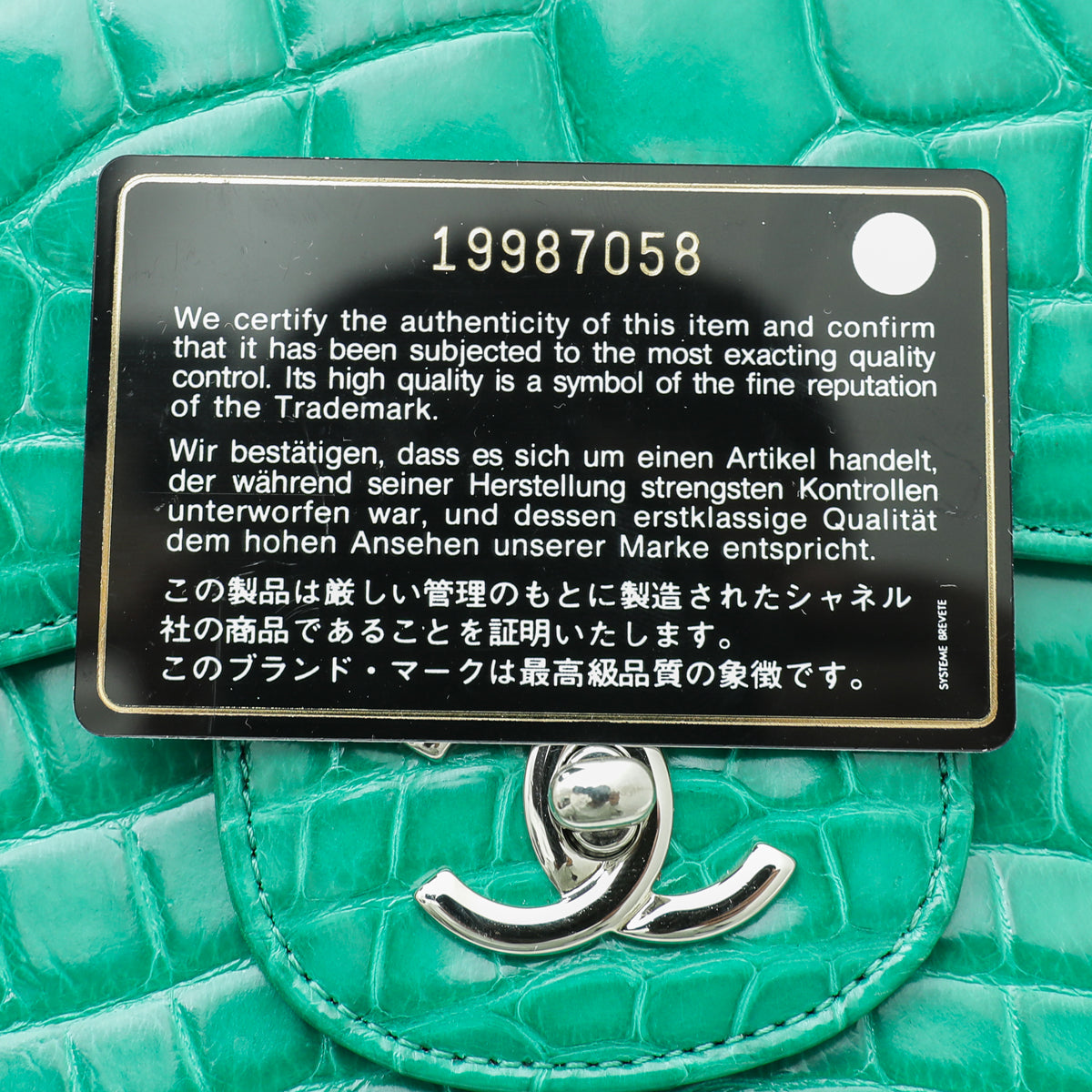 Chanel Green CC Crocodile Classic Double Flap Jumbo Bag