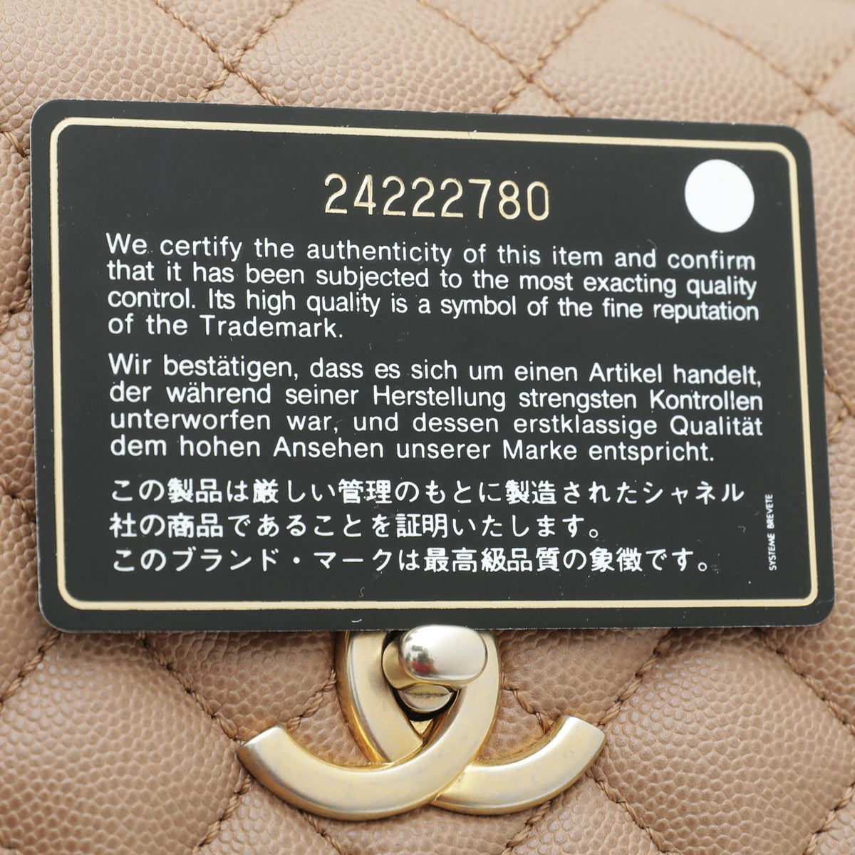 Chanel Light Brown Coco Handle Lizard Medium Bag