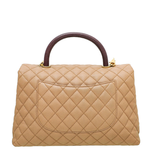 Chanel Light Brown Coco Handle Lizard Medium Bag