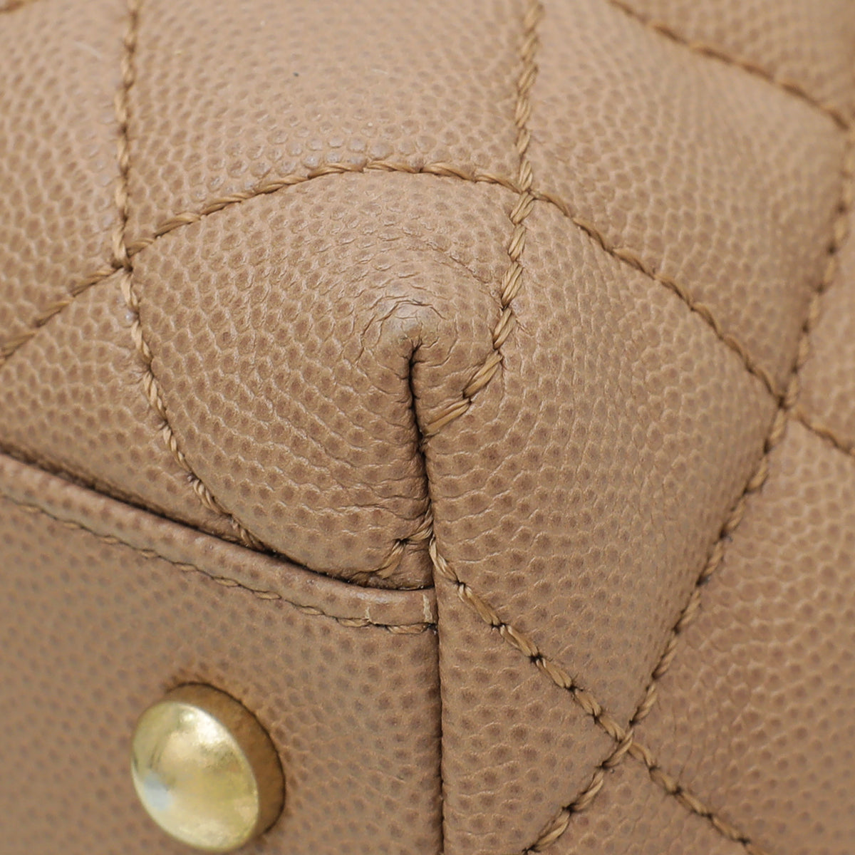 Chanel Light Brown Coco Handle Lizard Medium Bag