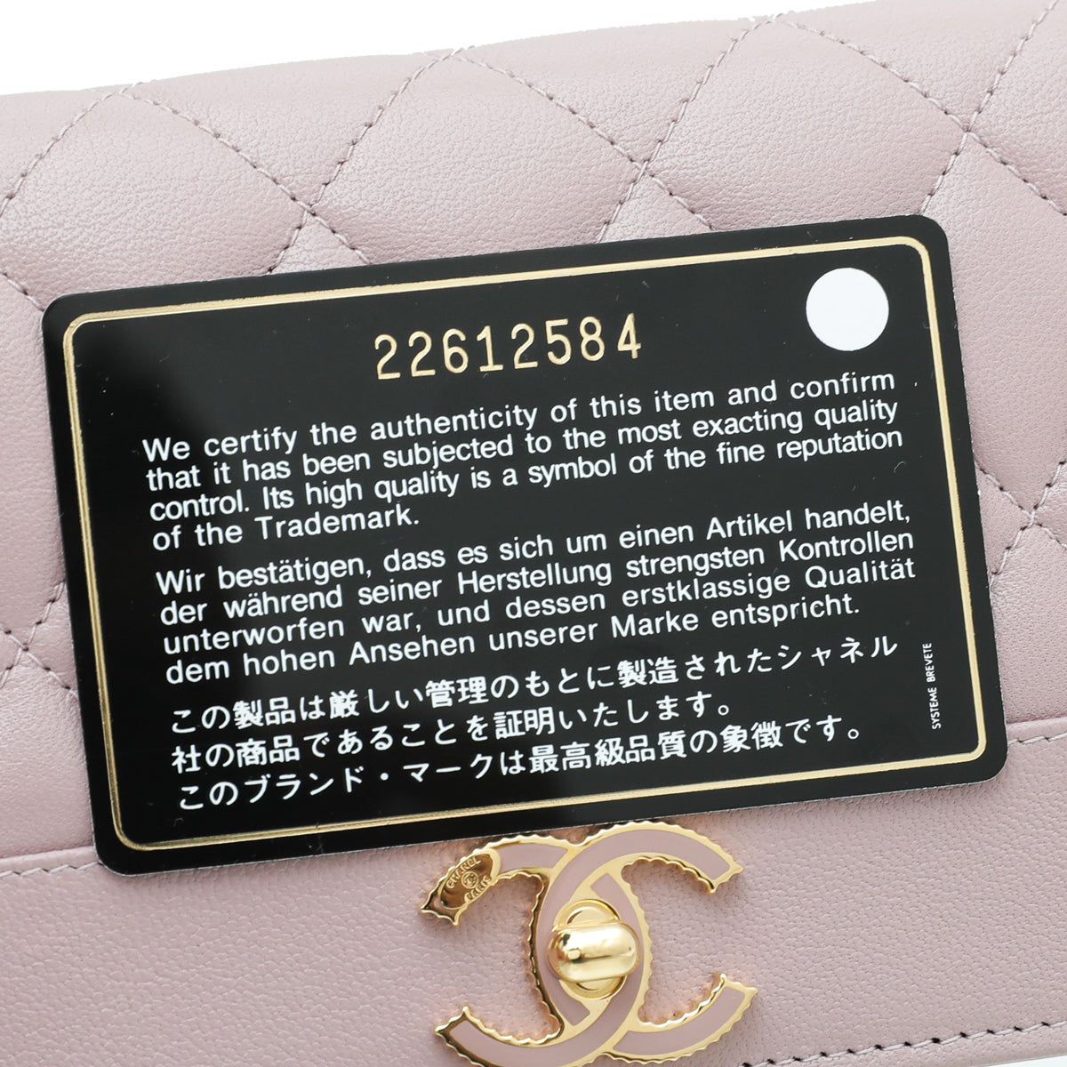 Chanel Pink Mauve Paris in Rome Flap Wallet