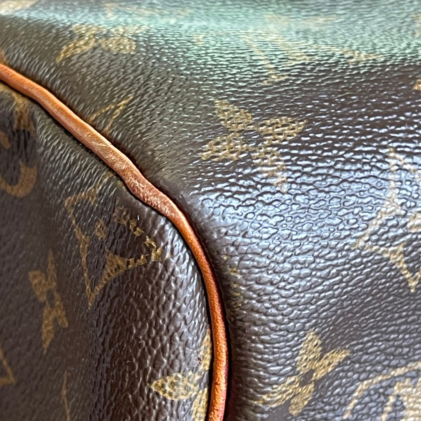 LOUIS VUITTON Monogram Speedy 30