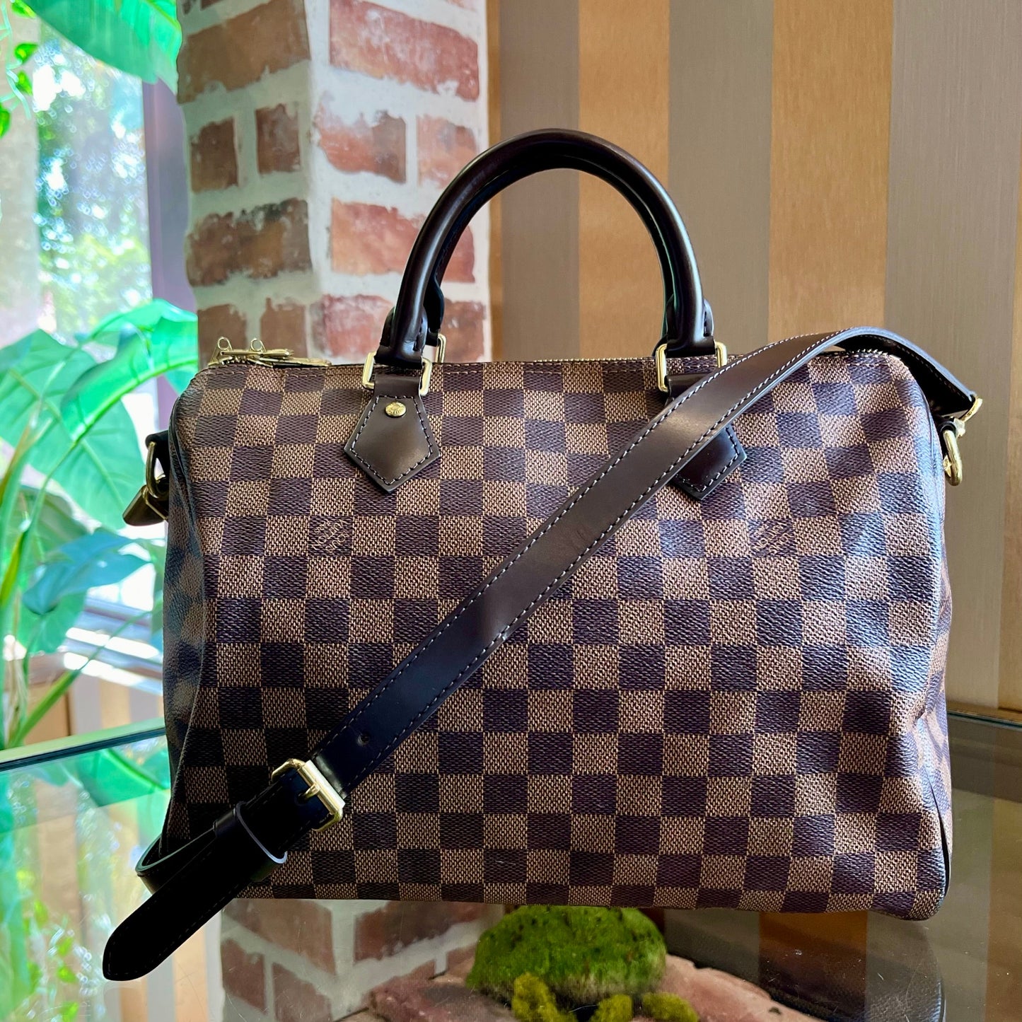 LOUIS VUITTON Speedy 30 Damier Ebene Canvas Satchel Bag