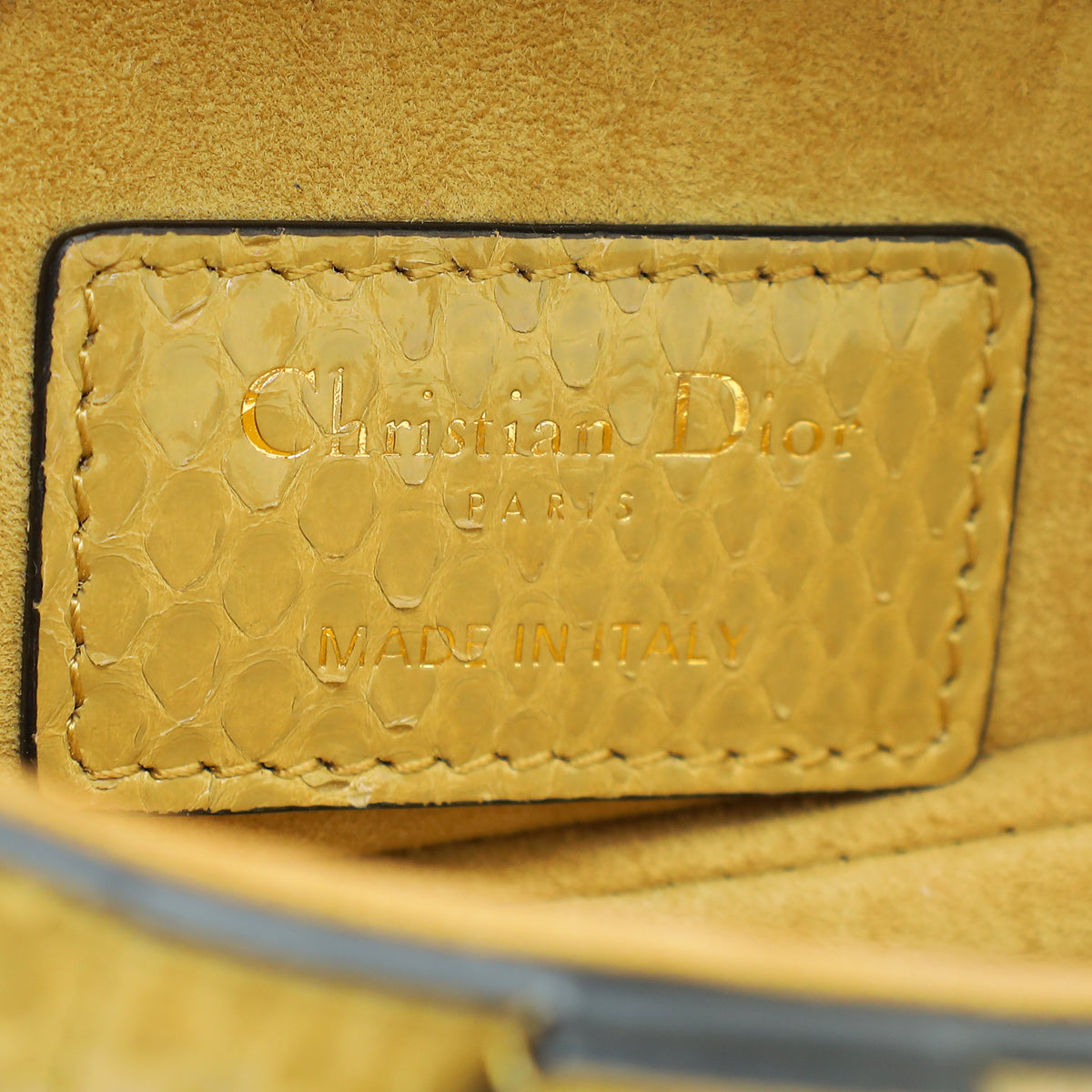 Christian Dior Dark Mustard Python Saddle Mini Bag