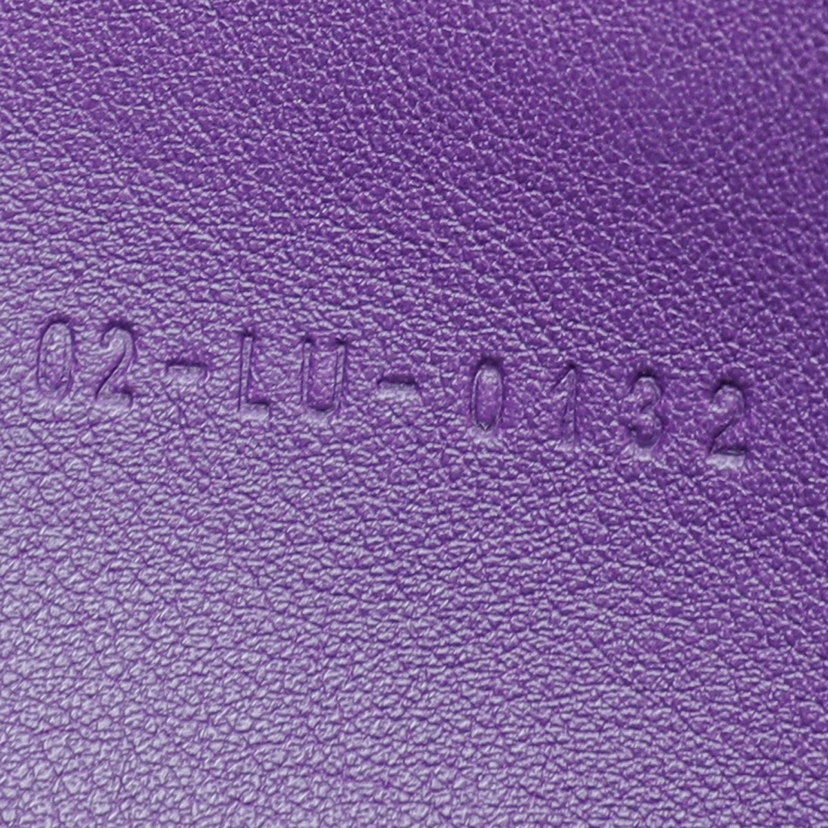 Christian Dior Violet New Lock Promenade Wallet On Chain