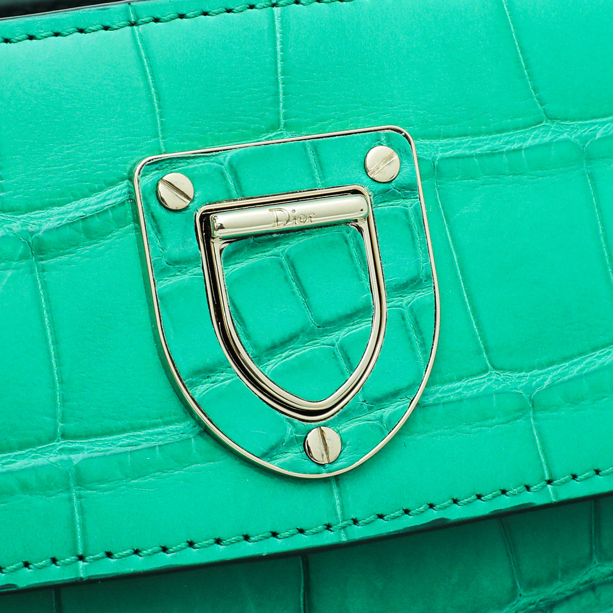 Christian Dior Green Alligator Diorever Mini Bag