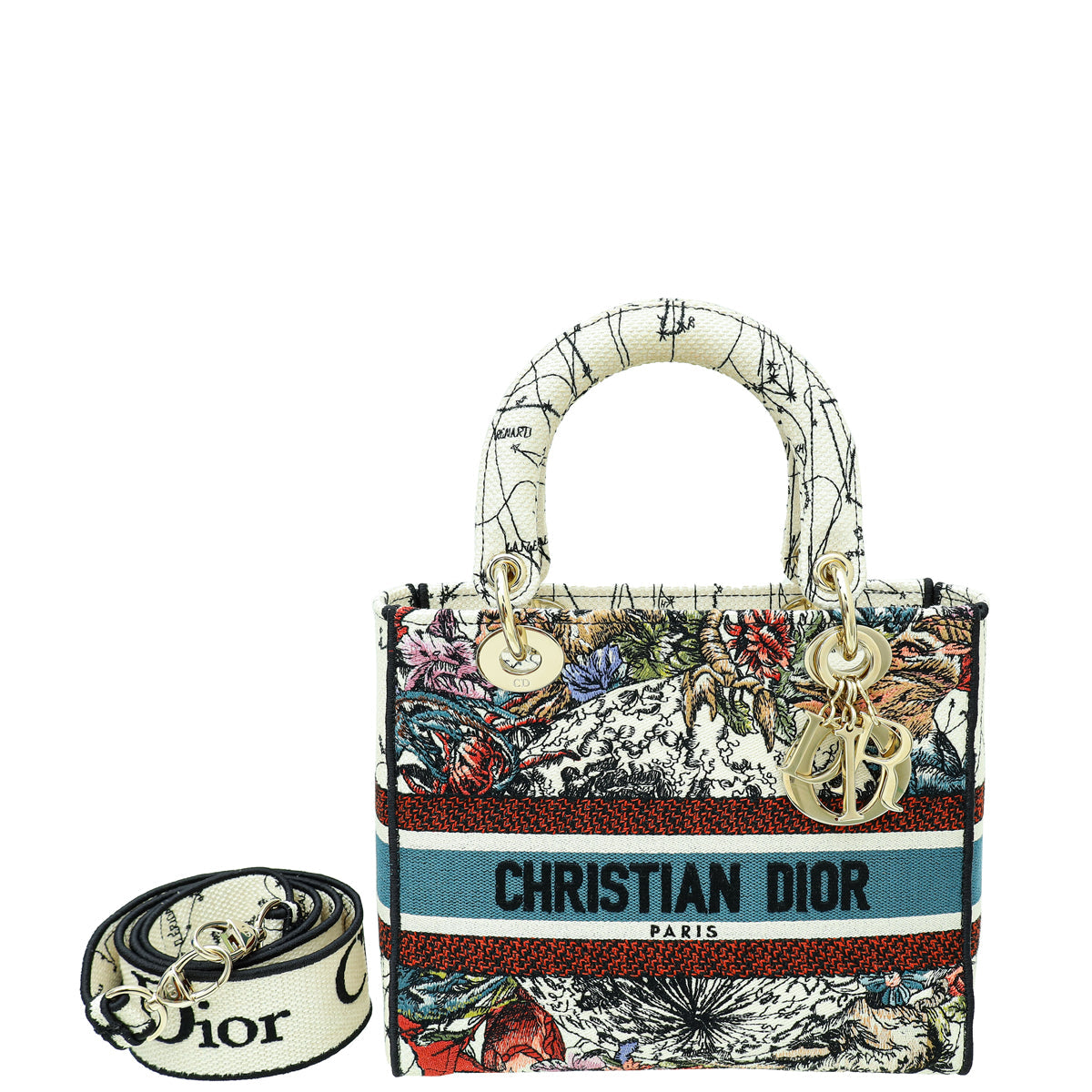 Christian Dior Multicolor Lady D-Lite Constellation Embroidery Medium Bag