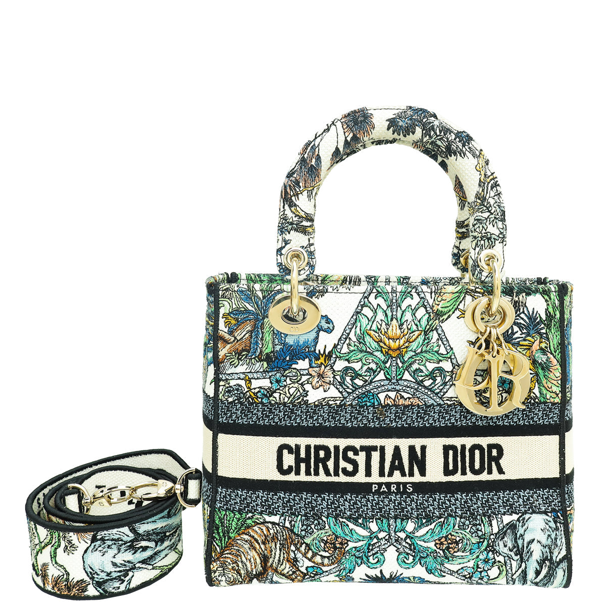 Christian Dior Multicolor Étoile de Voyage Embroidery Lady D-Lite Medium Bag