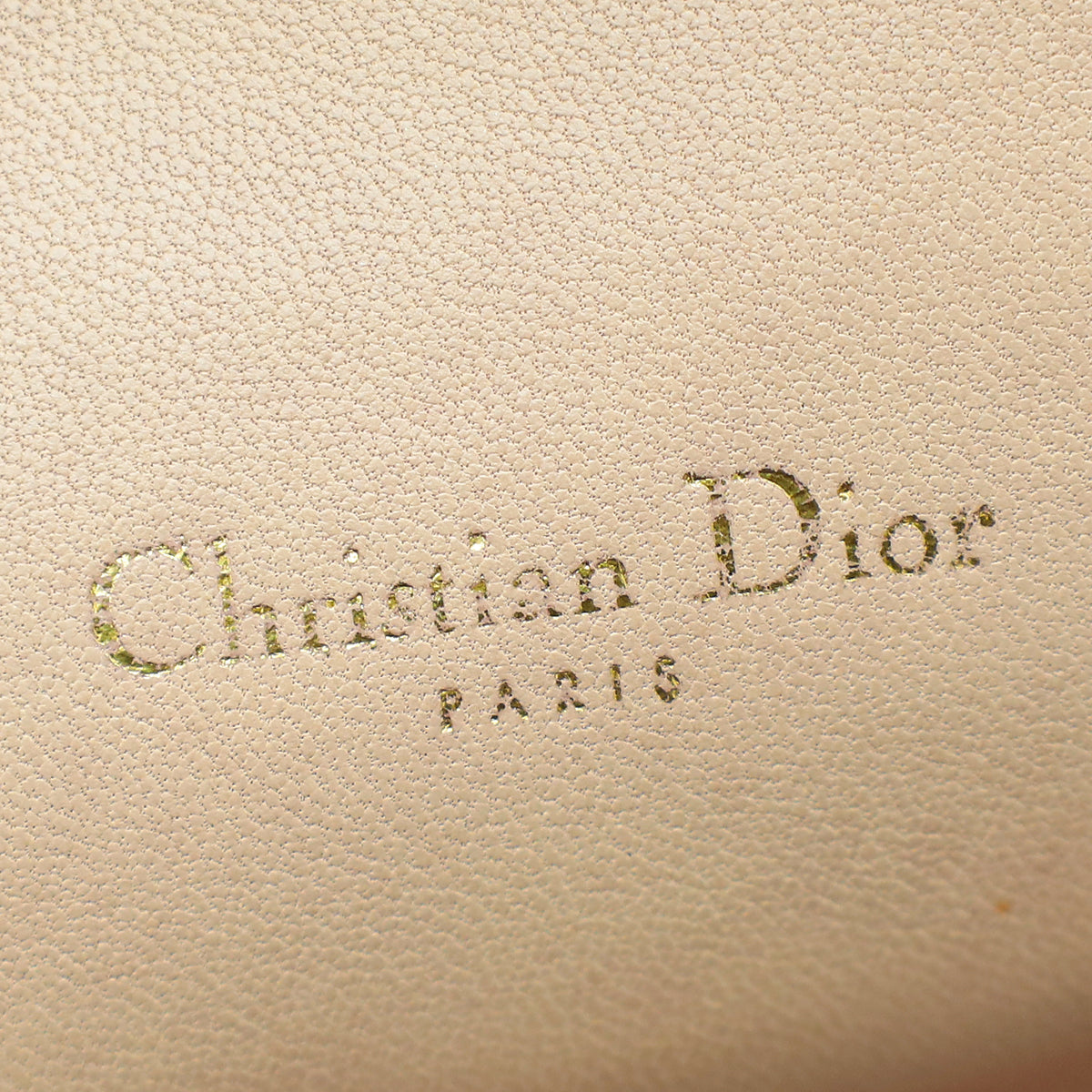 Christian Dior Nude Miss Dior Promenade Pouch Clutch