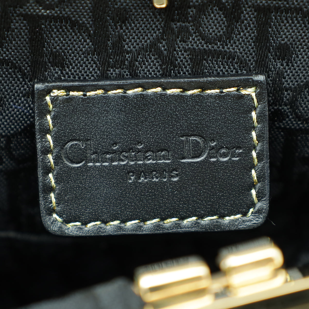 Christian Dior Black Python Saddle Mini Pouch