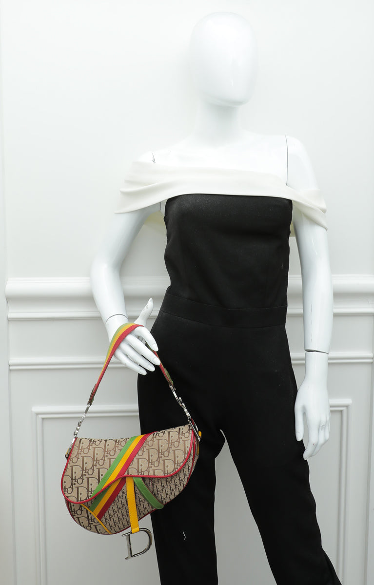 Christian Dior Multicolor Rasta Saddle Oblique Medium Bag