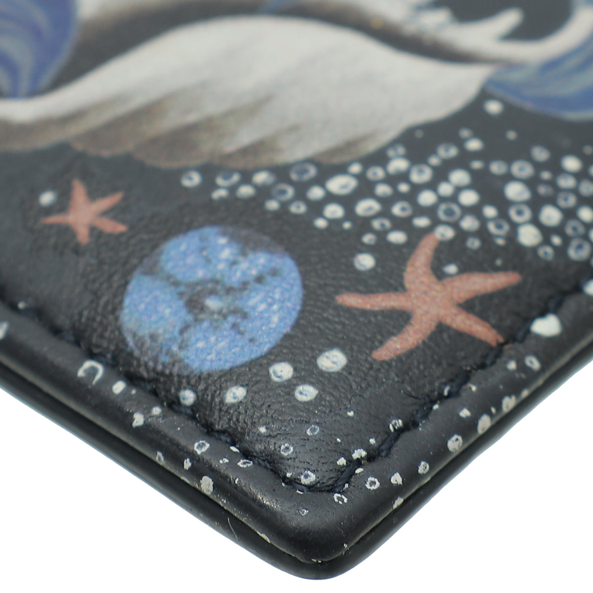 Christian Dior Indigo Black Multicolor Printed Nature Ballet Lady Dior Card Holder