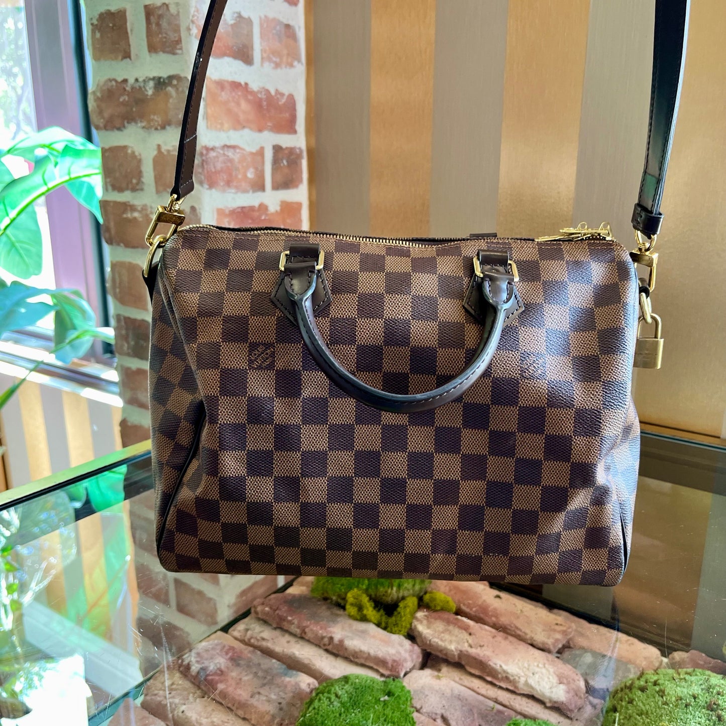 LOUIS VUITTON Speedy 30 Damier Ebene Canvas Satchel Bag