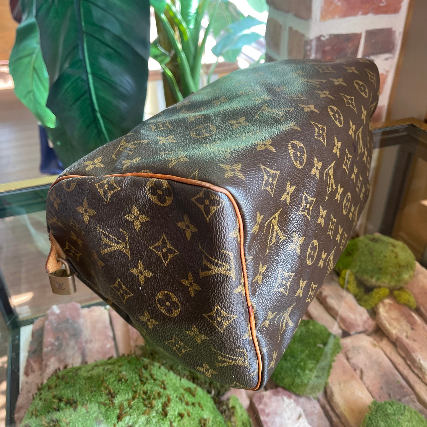 LOUIS VUITTON Monogram Speedy 30