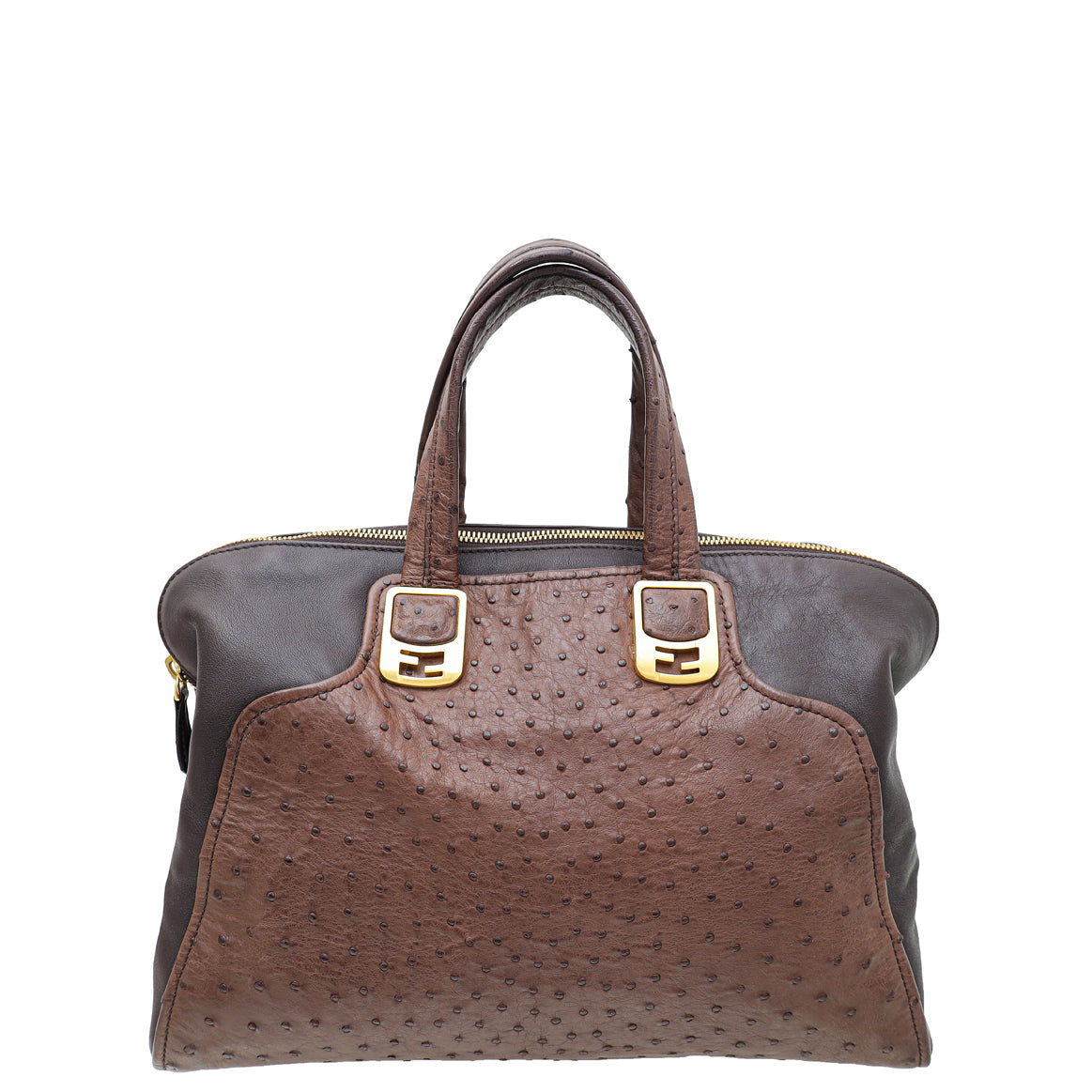 Fendi Bicolor Chameleon Large Bag