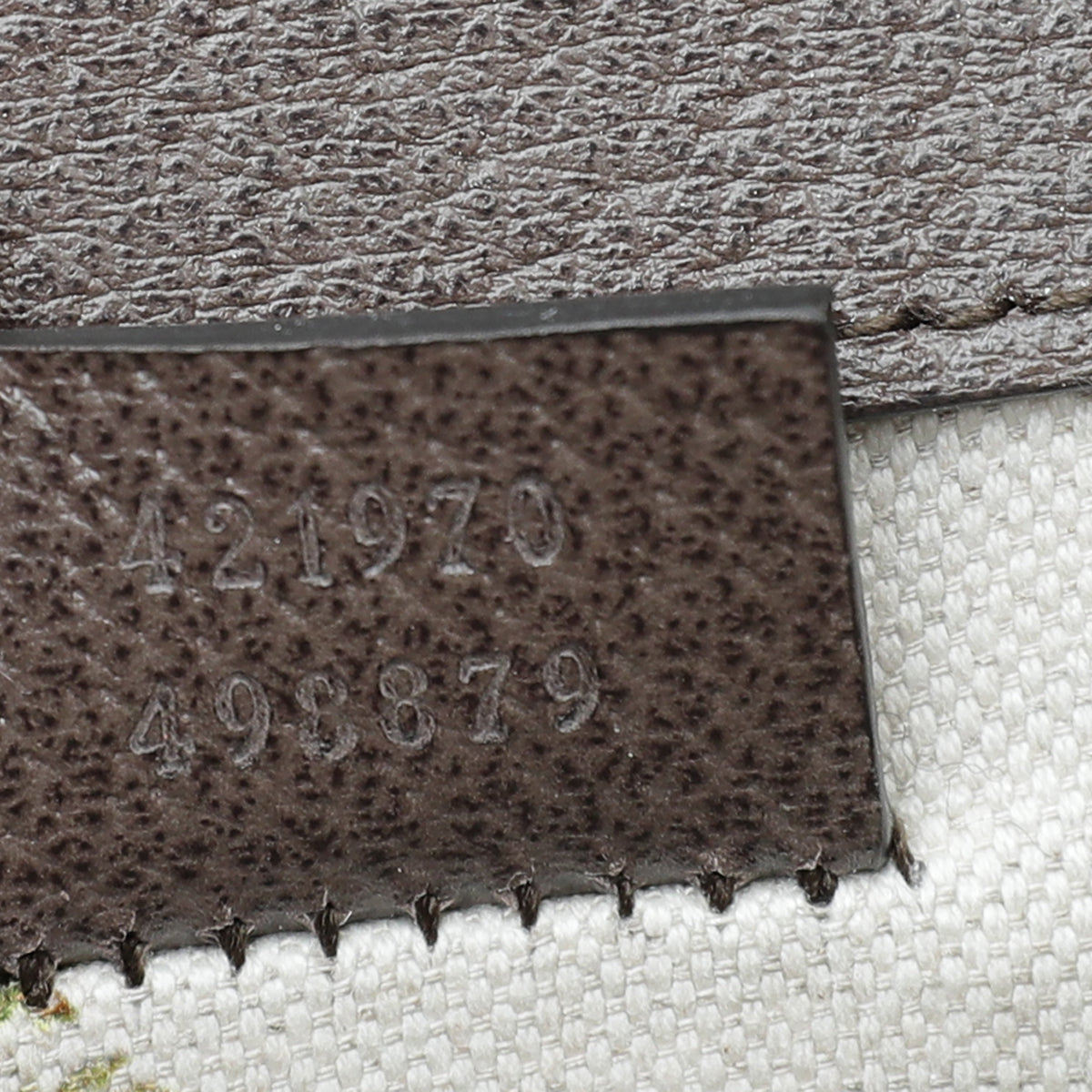 Gucci Brown Web Dionysus Mini Bag