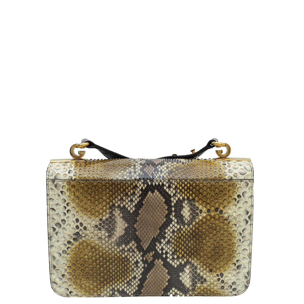 Gucci Tricolor Python 1973 Flap Medium Shoulder Bag