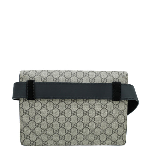 Gucci Bicolor Dionysus Belt Bag