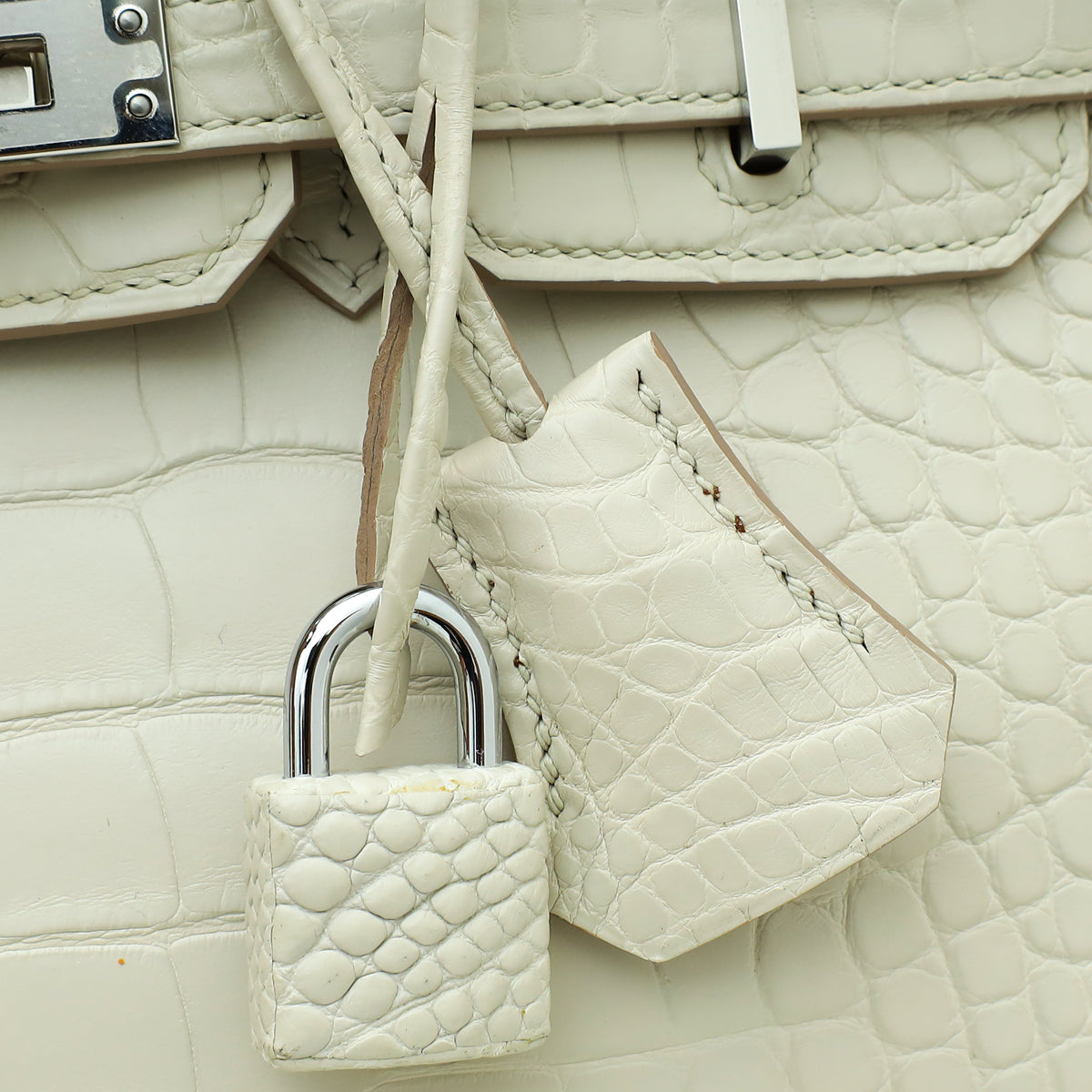 Hermes Veron Alligator Mississippiensis Matte Birkin 25 Bag