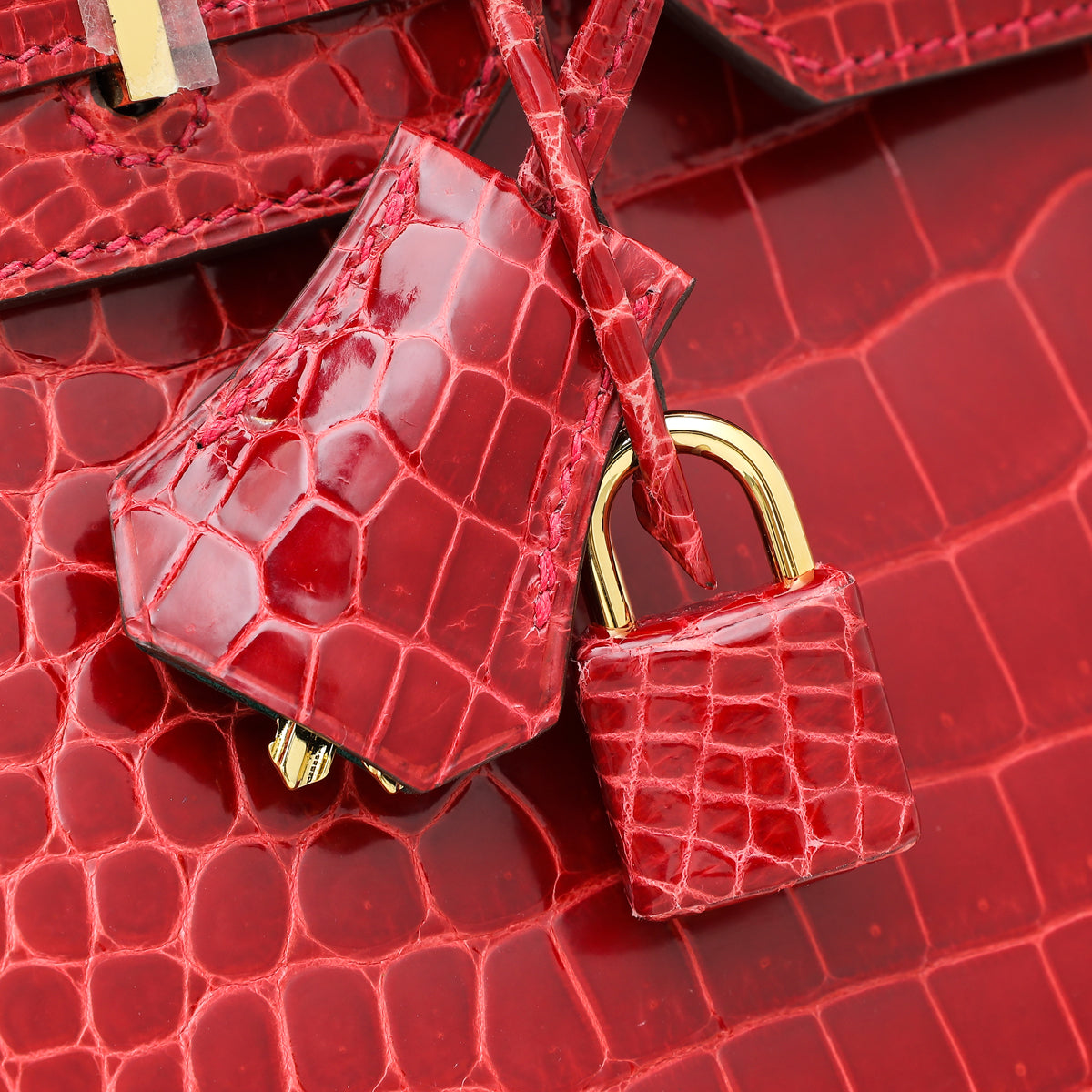 Hermes Bicolor Porosus Crocodile Horseshoe Birkin 30 Bag