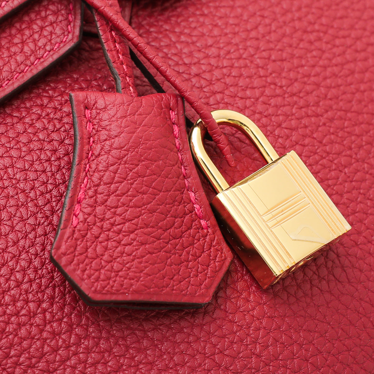 Hermes Rubis Birkin 25 Bag