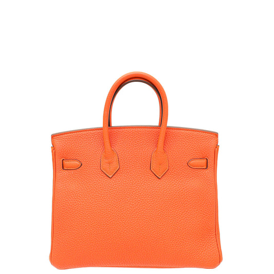 Hermes Feu Retourne Birkin 25 Bag