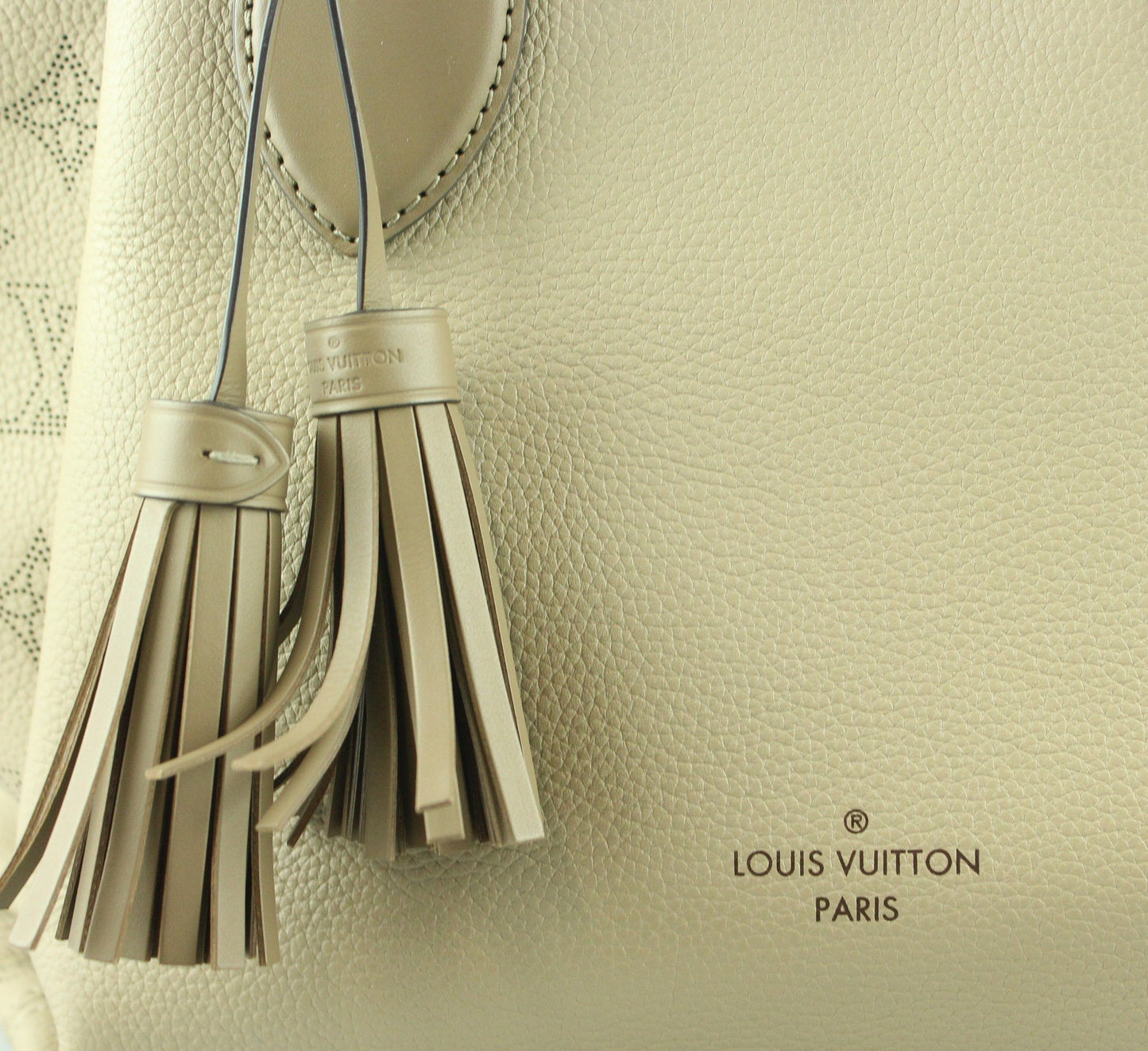 Louis Vuitton Haumea Tote In Galet AH4198