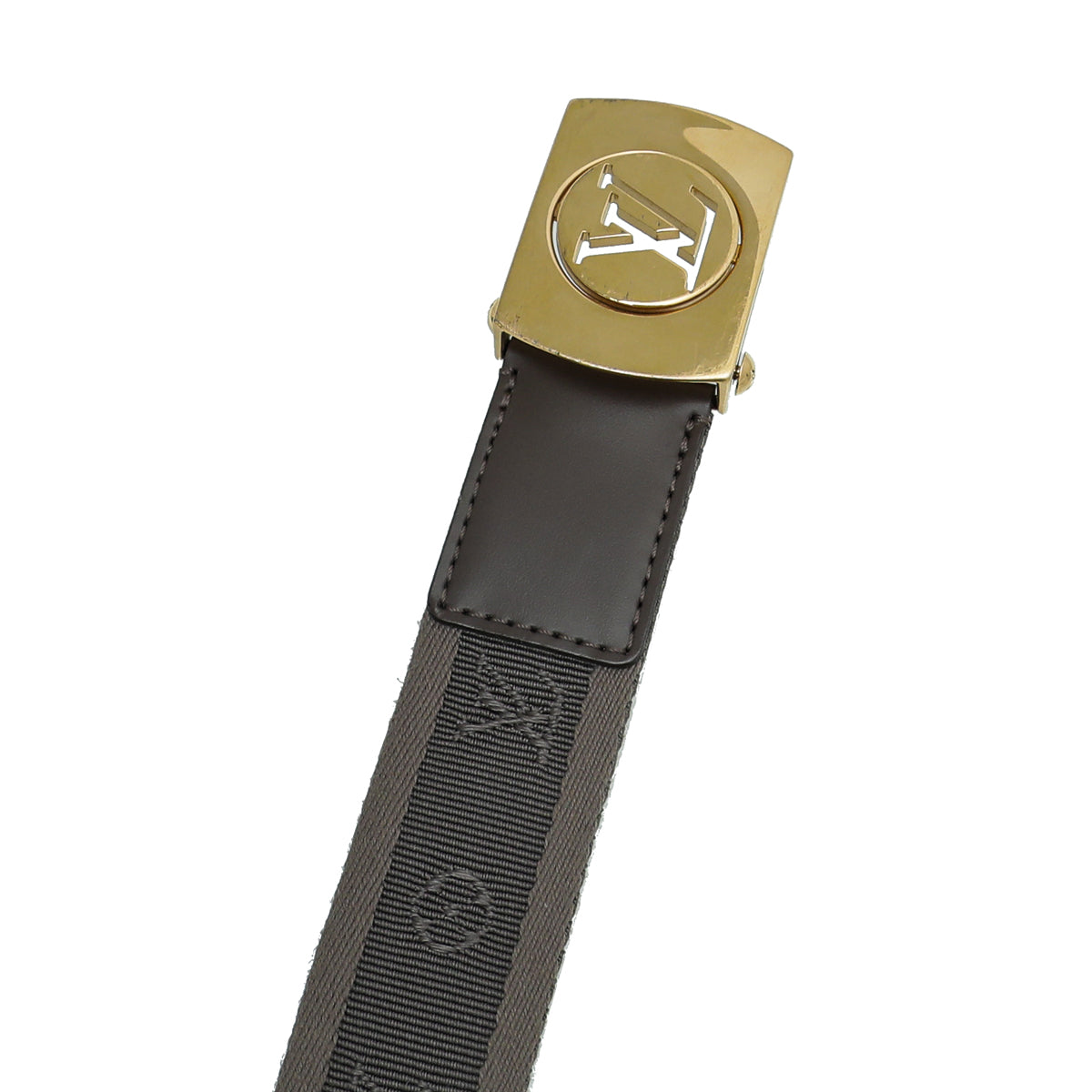 Louis Vuitton Taupe Monogram Fortune Sangle Belt 36