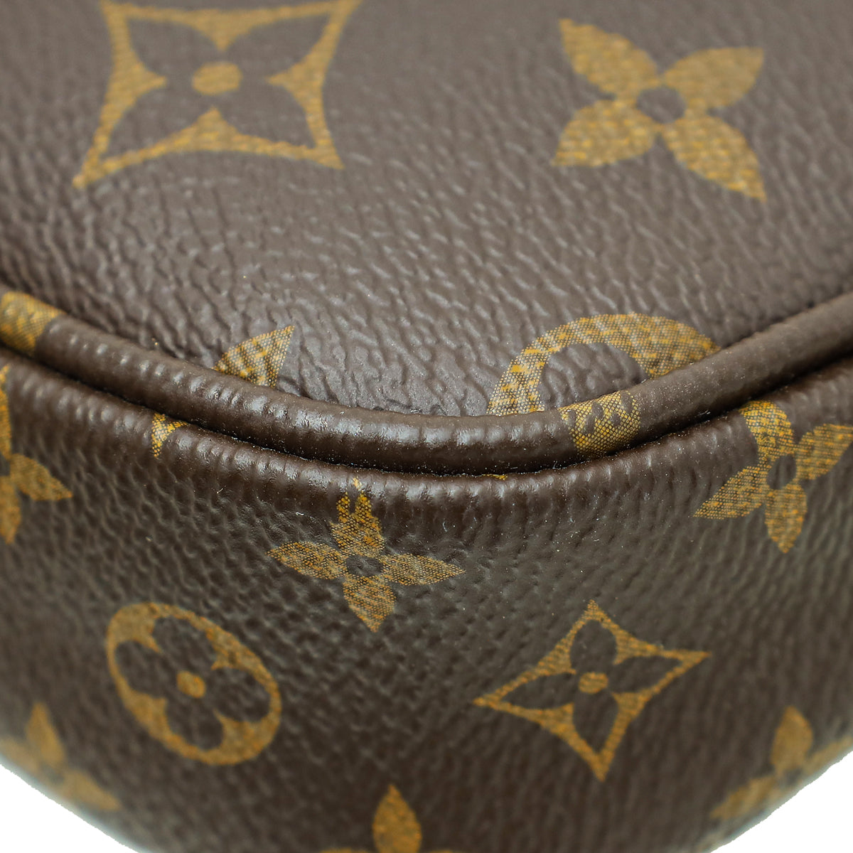 Louis Vuitton Monogram Multi Pochette Accessories Bag