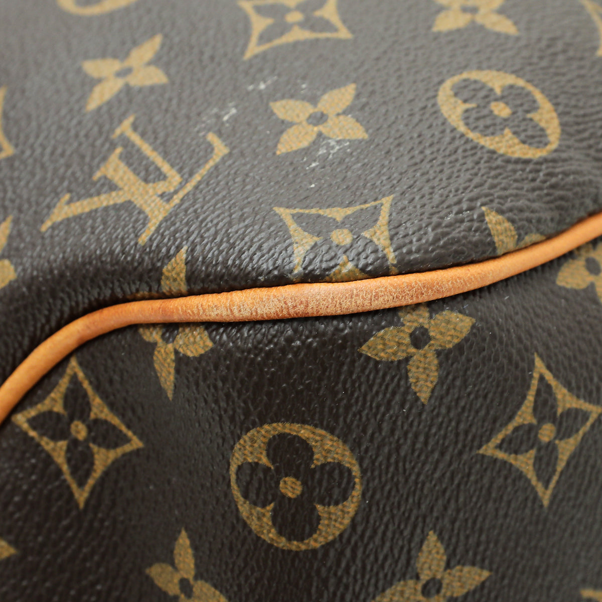 Louis Vuitton Monogram Delightful PM Bag