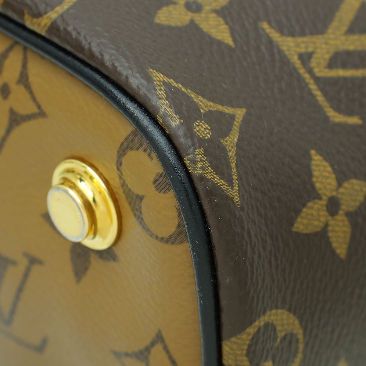 Louis Vuitton Monogram Reverse Vanity PM Bag