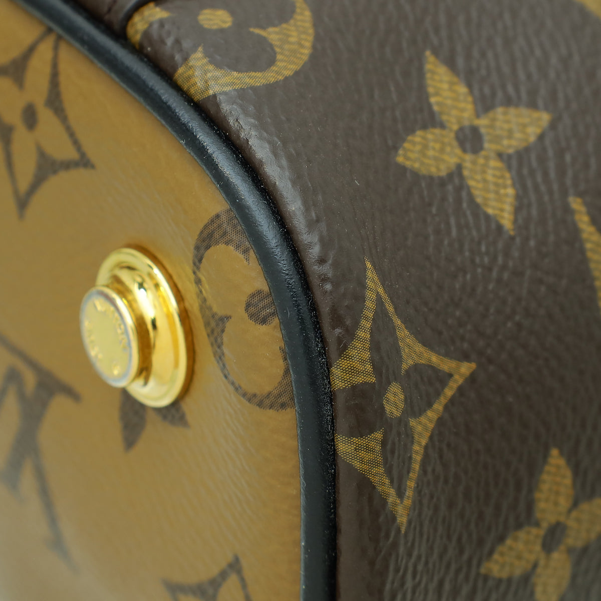 Louis Vuitton Monogram Reverse Vanity PM Bag