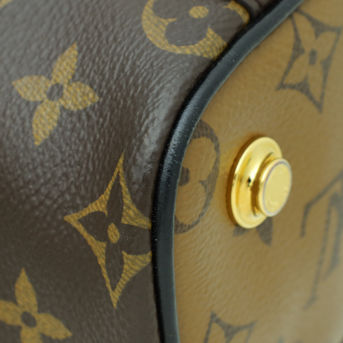 Louis Vuitton Monogram Reverse Vanity PM Bag