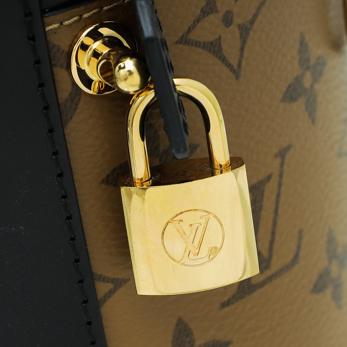 Louis Vuitton Monogram Reverse Cannes Bag