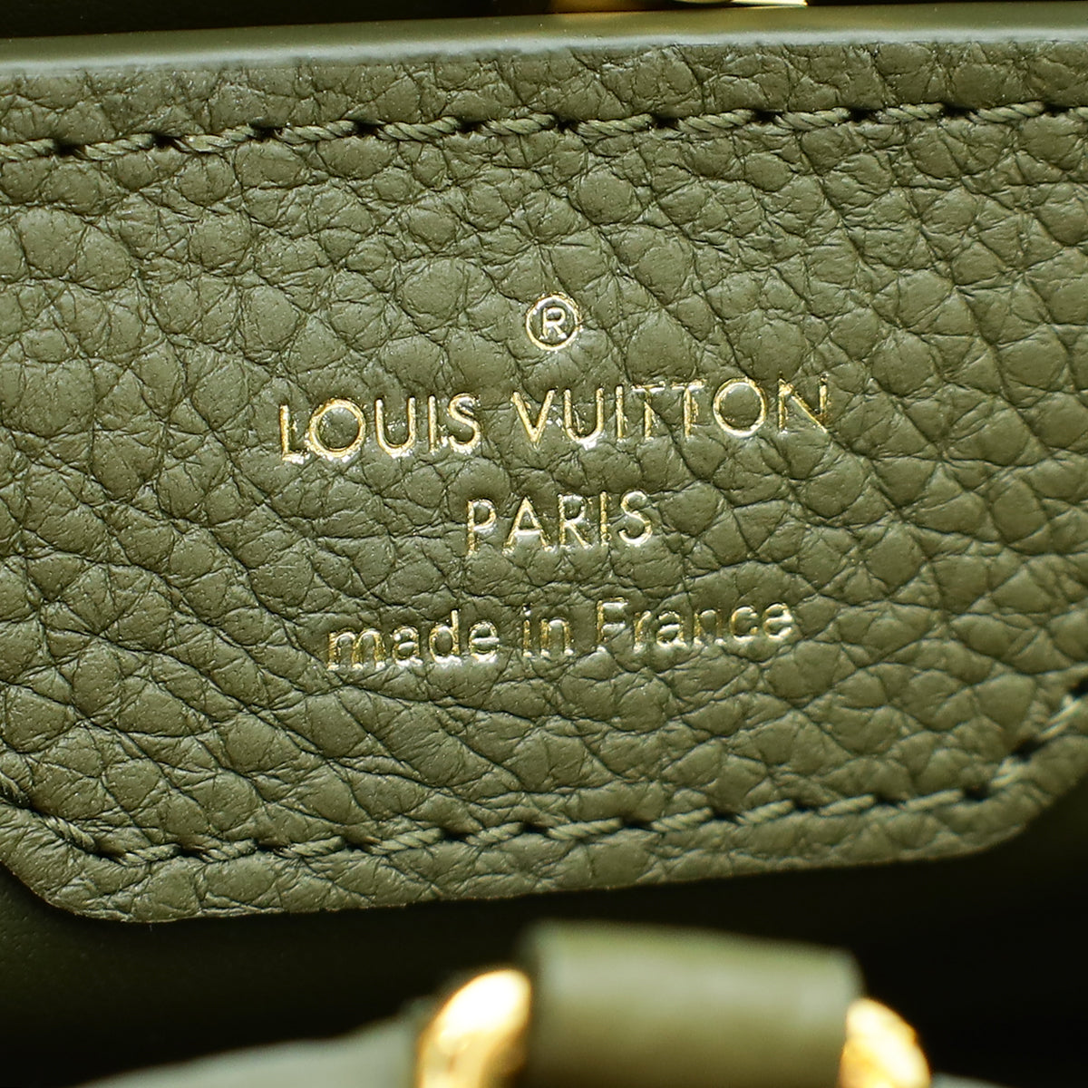 Louis Vuitton Tricolor Capucines MM Studded Bag