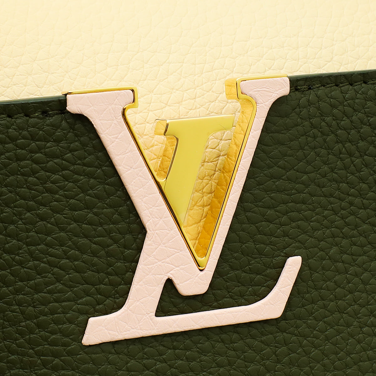 Louis Vuitton Tricolor Capucines MM Studded Bag