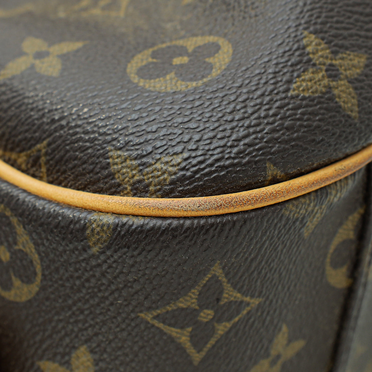 Louis Vuitton Brown Ltd.Ed. Monogram Mizi Bag